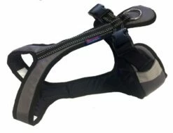 Harness SHORT Grau-schwarz