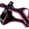 Harness SHORT Schwarz-rosa