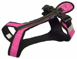 Harness SHORT Rosa-schwarz