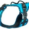Harness EASY PEASY ROYAL Türkis