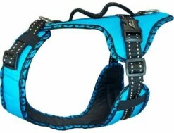 Harness EASY PEASY ROYAL Türkis