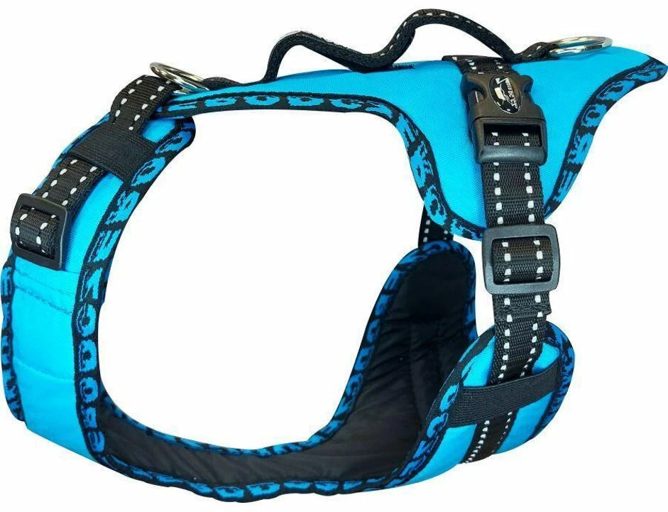 Harness EASY PEASY ROYAL Türkis 1 Harness EASY PEASY ROYAL Türkis