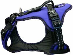 Harness EASY PEASY ROYAL Lila