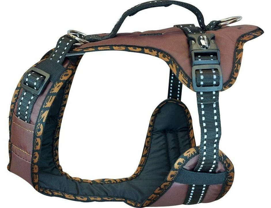 Harness EASY PEASY ROYAL Braun 1 Harness EASY PEASY ROYAL Braun