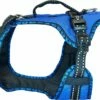 Harness EASY PEASY ROYAL Blau