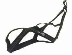 Dehnbar Harness CROSS DC Schwarz