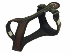 Harness SHORT Braun-schwarz