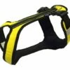 Harness SHORT Gelb-schwarz