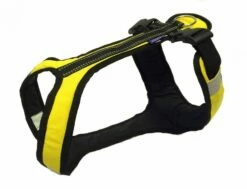 Harness SHORT Gelb-schwarz