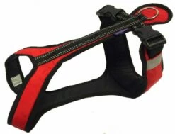 Harness SHORT Rot-schwarz