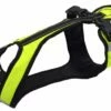 Harness SHORT Neongrün-schwarz