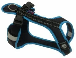 Harness SHORT Schwarz-türkis