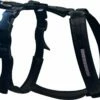 Harness Gefüttert Monochrom ROYAL Schwarz