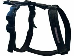 Harness Gefüttert Monochrom ROYAL Schwarz