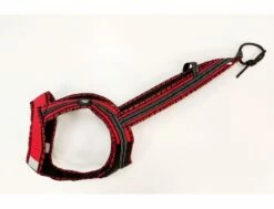 Dehnbar Harness FASTER ROYAL Rot