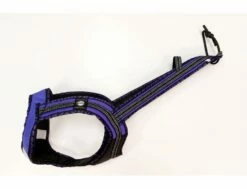 Dehnbar Harness FASTER ROYAL Lila