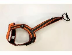 Dehnbar Harness FASTER ROYAL Neonorange