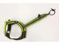 Dehnbar Harness FASTER ROYAL Neongrün