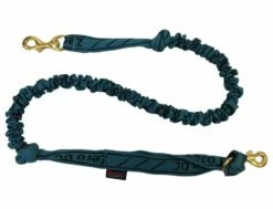 Leine Mit Stoßdämpfer ÜBER 10kg Blaugrün