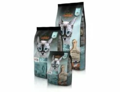 Leonardo Adult GF Salmon