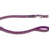 Red Dingo Führer RD Transp. 25 Mm X 2 M – Daisy Chain Lila