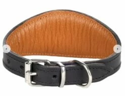 Flamingo Halsband Gefüllt Windhund Schwarz