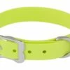 Red Dingo VIVID Lime Hundehalsband 56 - 66 Cm