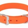 Red Dingo VIVID Orange Hundehalsband 56 - 66 Cm