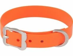 Red Dingo VIVID Orange Hundehalsband 56 - 66 Cm