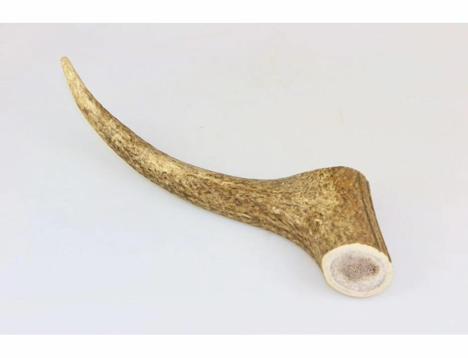 Marp Holistic - Hirschgeweih, Größe XL (160 - 200g) 1 Marp Holistic - Hirschgeweih, Größe XL (160 - 200g)