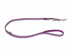 Red Dingo Reflective Purple Führleine 12 Mm X 2 M Small