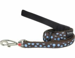 Red Dingo Blue Spots Brown Hundeleine 20 Mm X 1,8 M Medium
