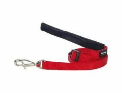 Red Dingo Red Hundeleine 25 Mm X 1,8 M Large