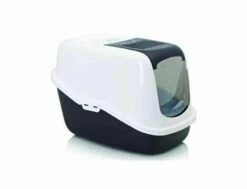 Toilette Nestor Schwarz