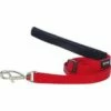 Red Dingo Red Führleine 25 Mm X 2 M Large