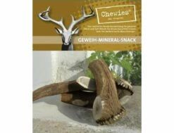 Chewies Hirsch Geweih - M