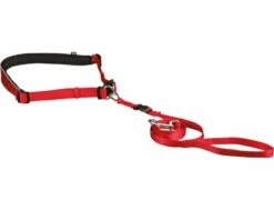 Trixie Waist Belt With Leash For Small And Medium-Sized Dogs