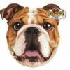 Kissen 3D Für Hund Oder Herrchen - English Bulldog