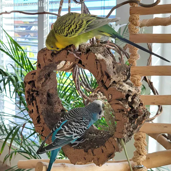 Angebote ZooshopXXL Store -Angebote ZooshopXXL Store